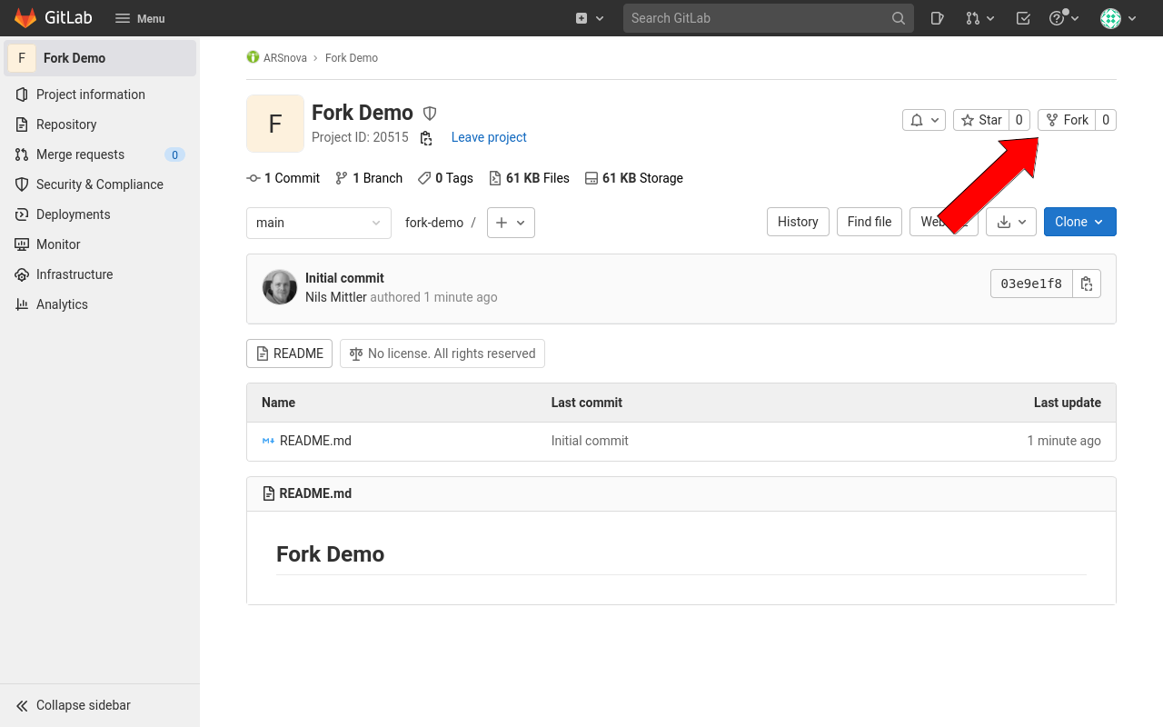 img/project_to_fork.png